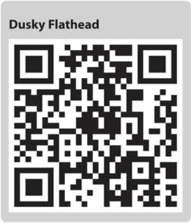 Image for QR code for this page